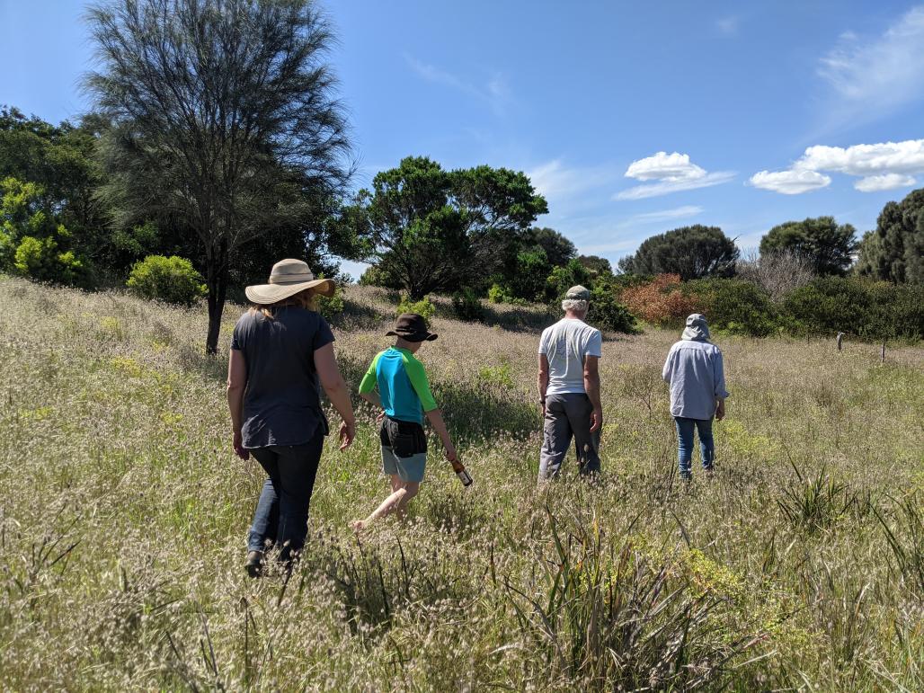 people walking in the bush