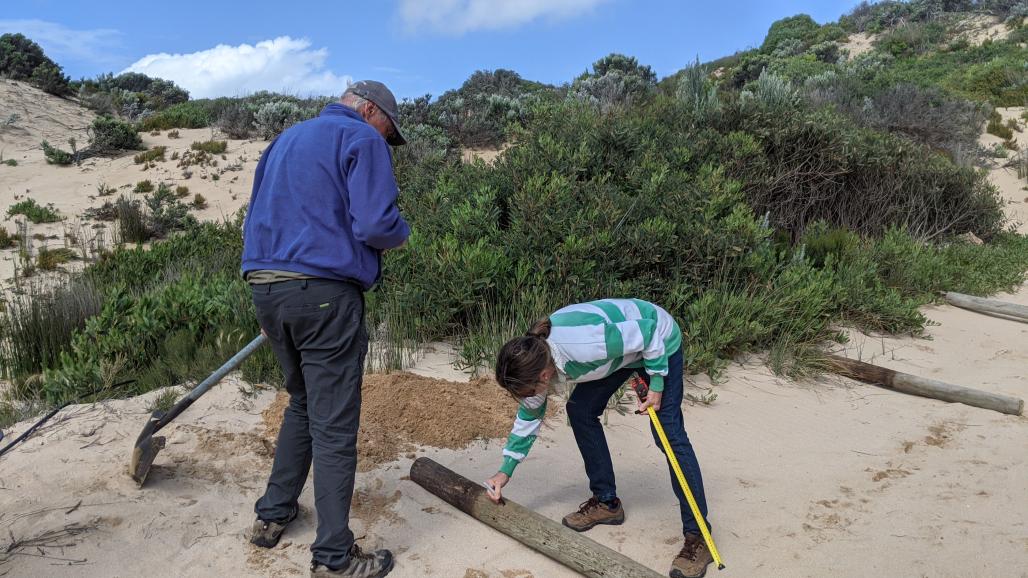 volunters on the beach