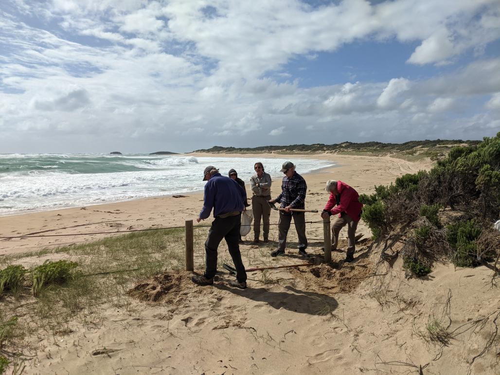 volunters on the beach