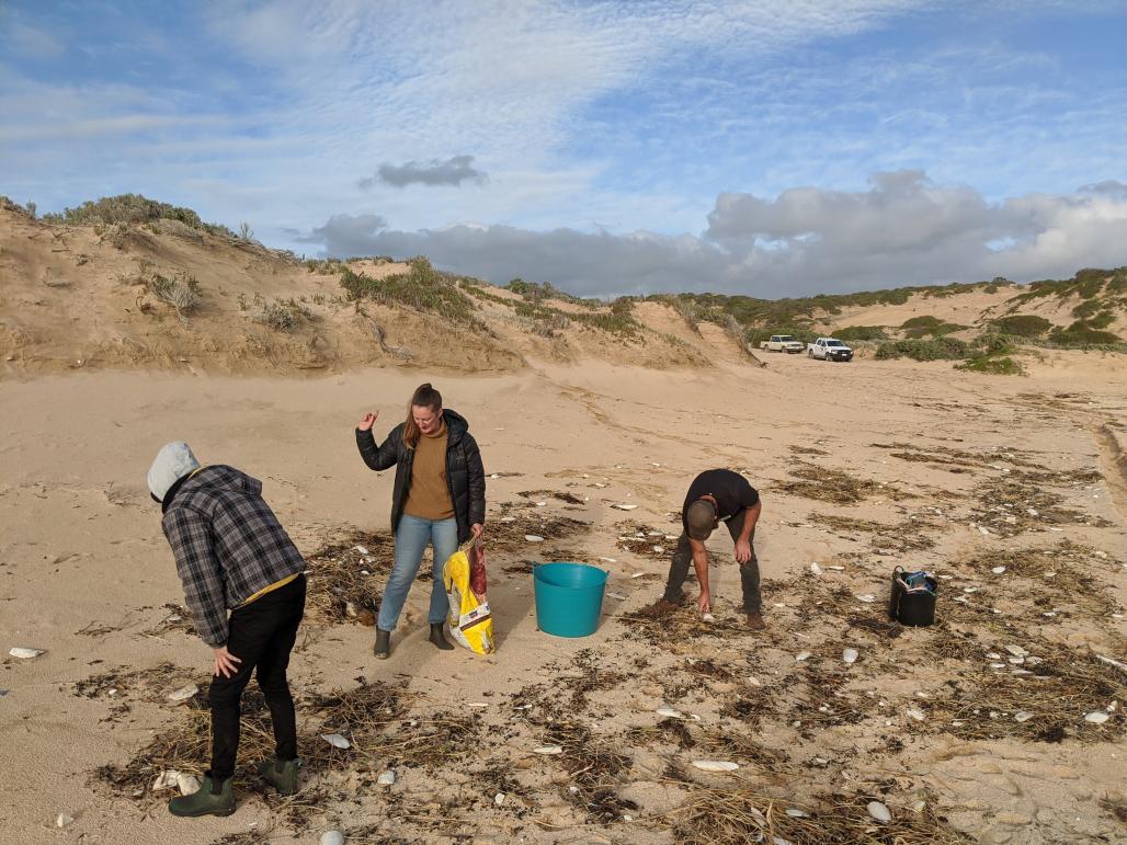 Beach clean-up crew