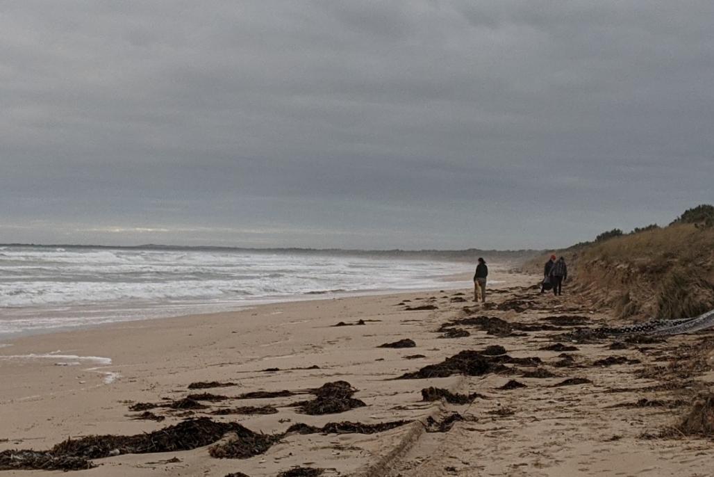 volunteers on the beach