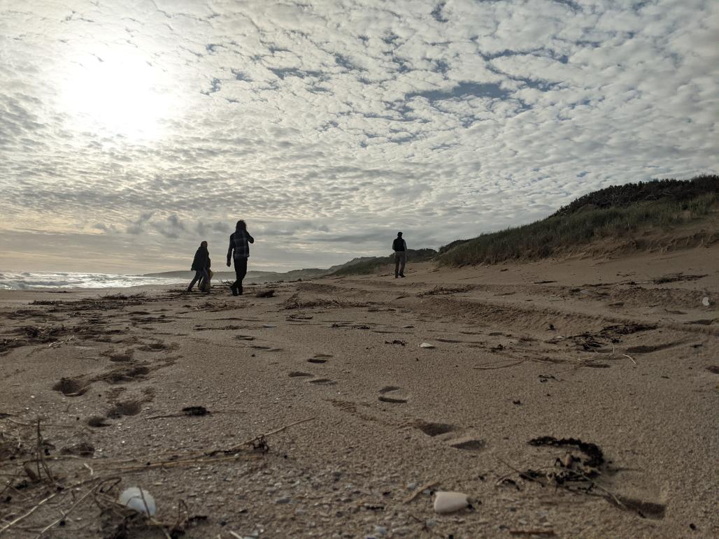 Beach clean-up crew