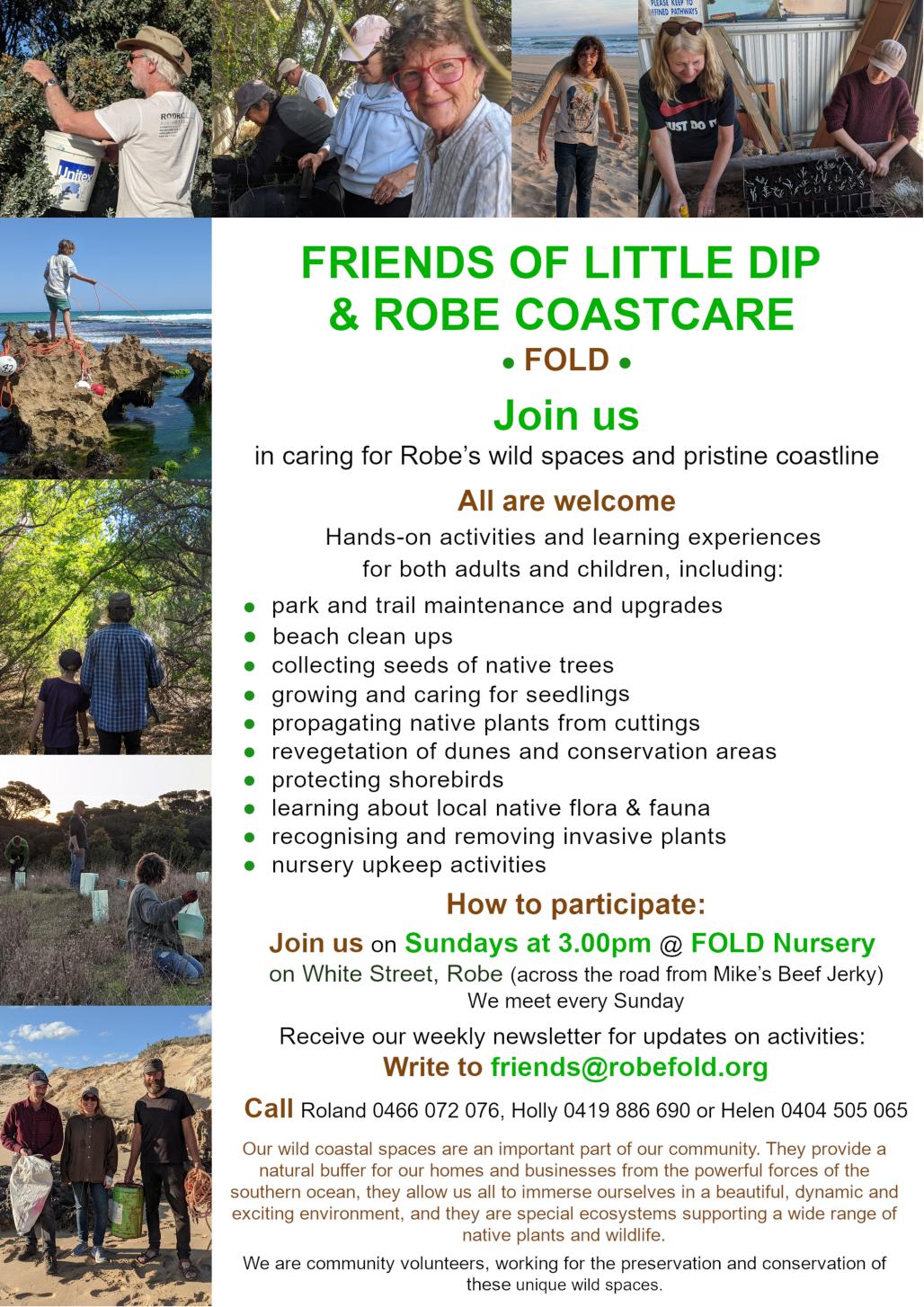 poster of Friends of Little Dip