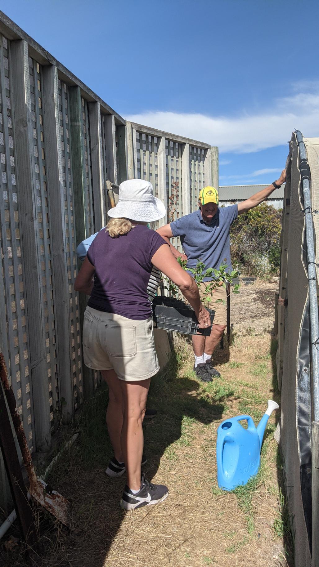 Volunteers cleaning